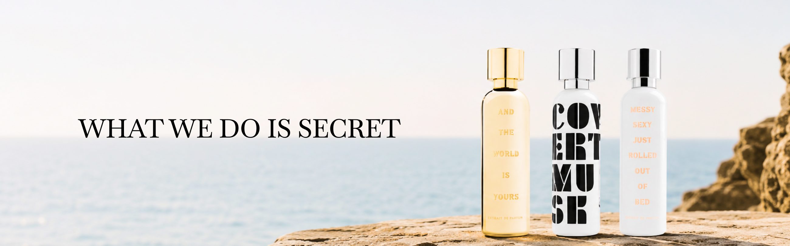 What We Do Is Secret