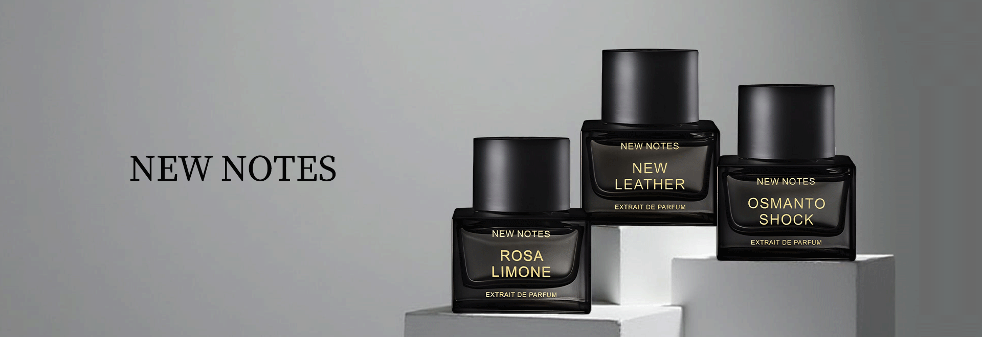 NEW NOTES