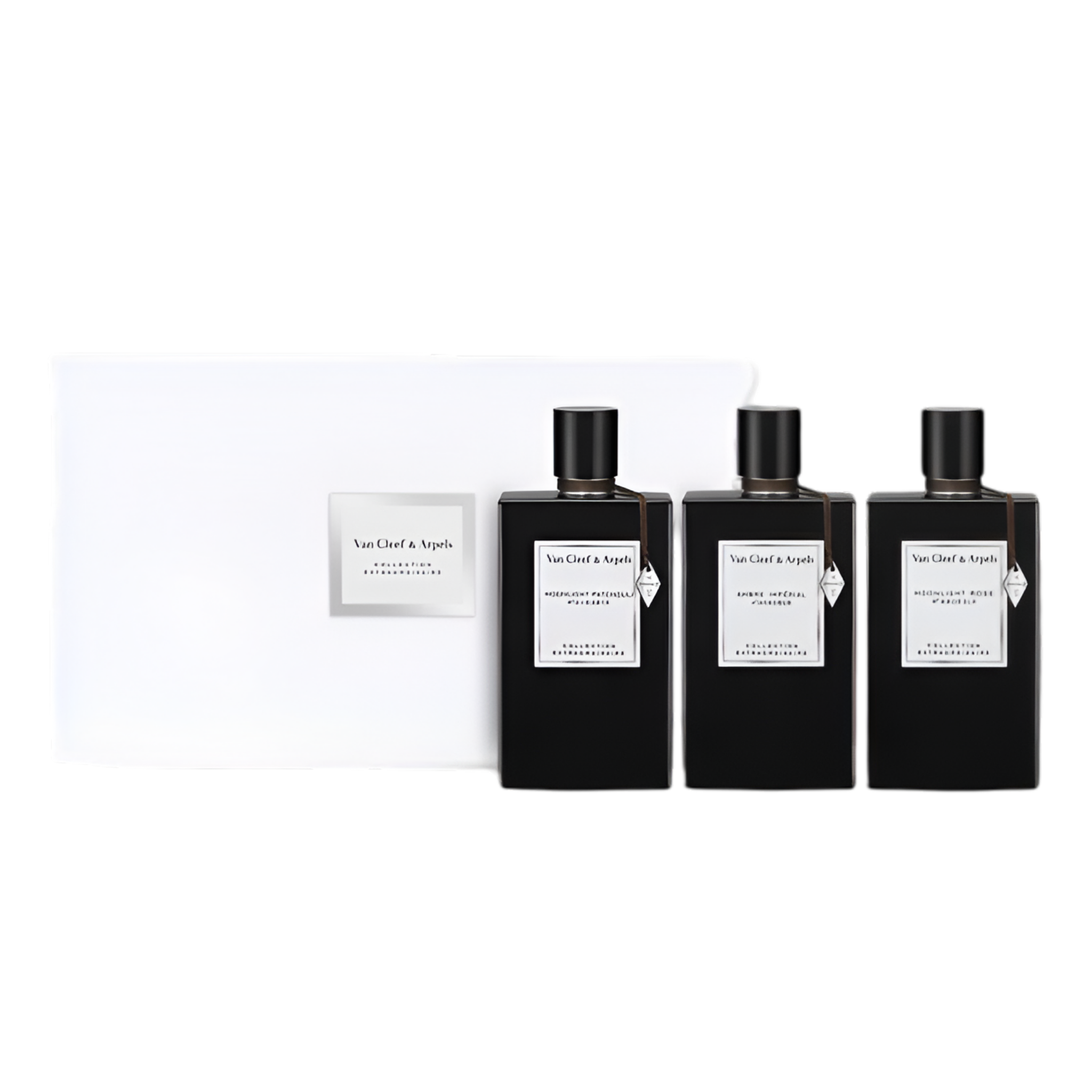 VAN CLEEF & ARPELS COLL. EXTRAORDINAIRE 