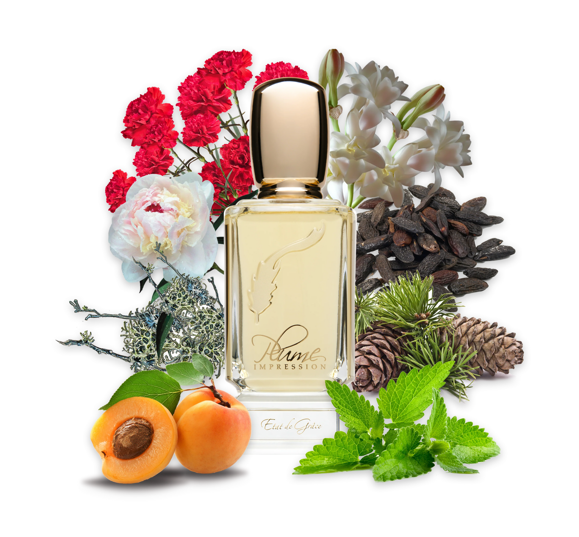 PLUME IMPRESSIONS Etat de Grace    2.7oz/80ml  Eau De Parfum 