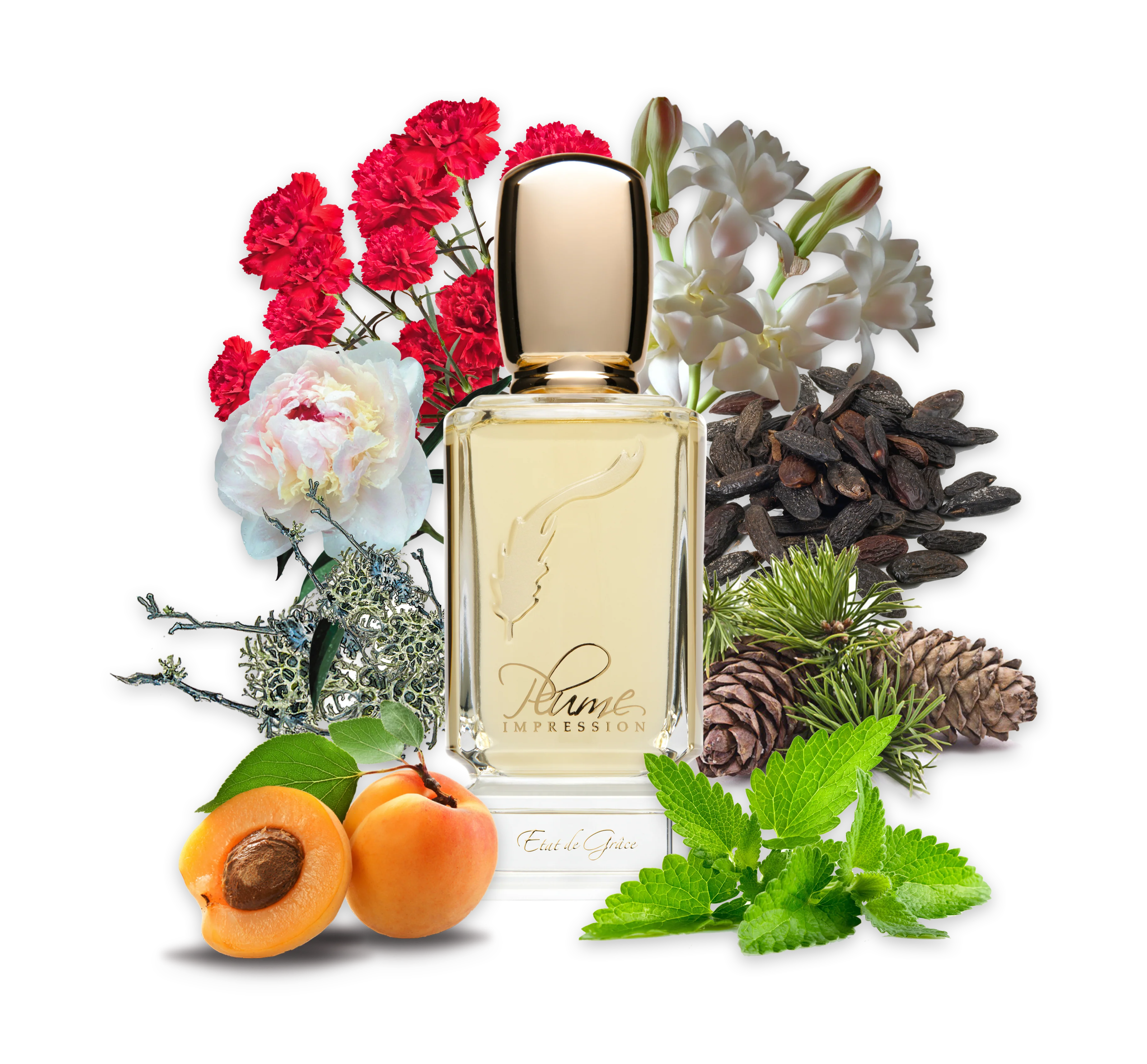 PLUME IMPRESSIONS Etat de Grace    2.7oz/80ml  Eau De Parfum 