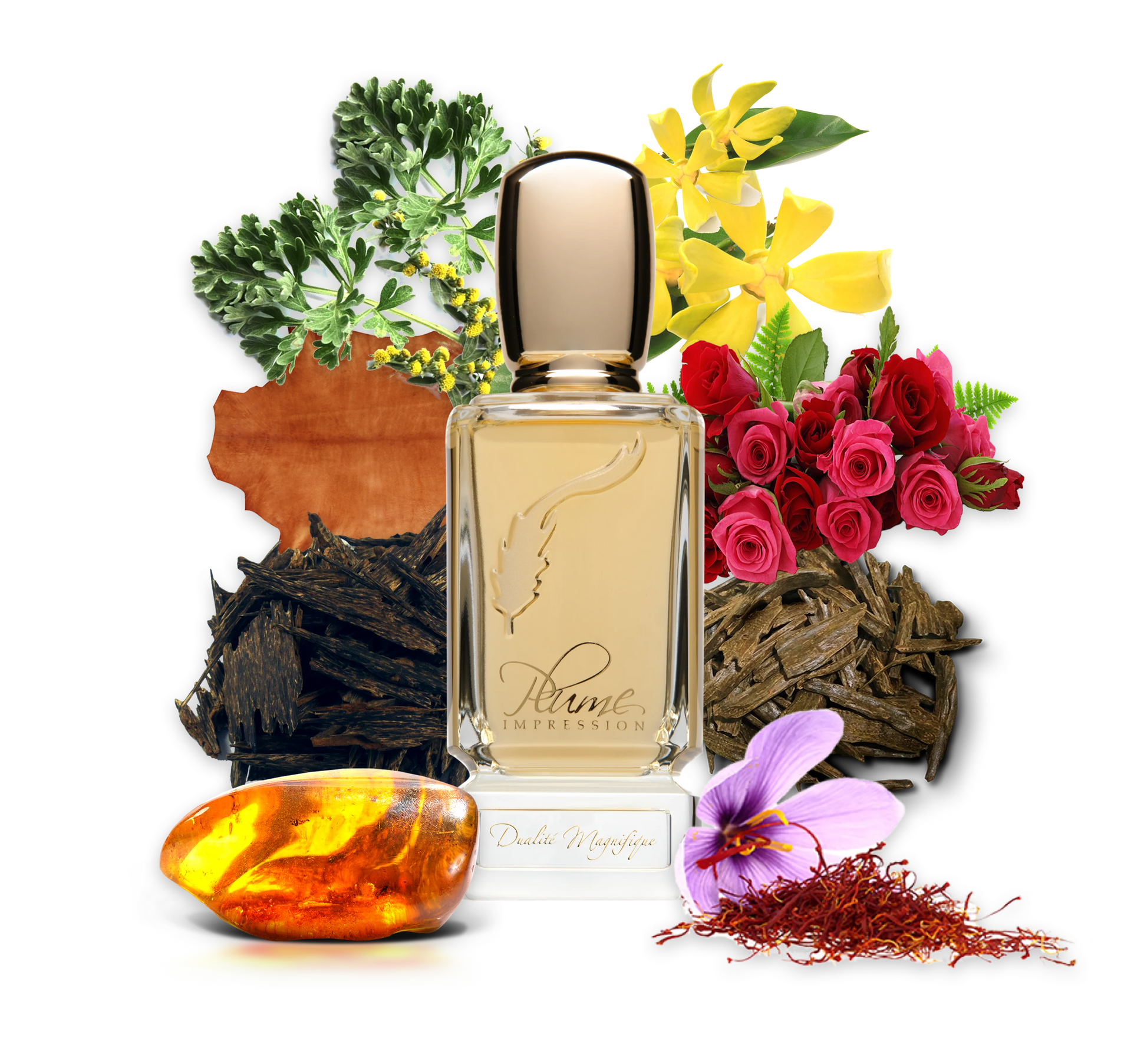 PLUME IMPRESSIONS Dualite Magnifique  2.7oz/80ml  Eau De Parfum 