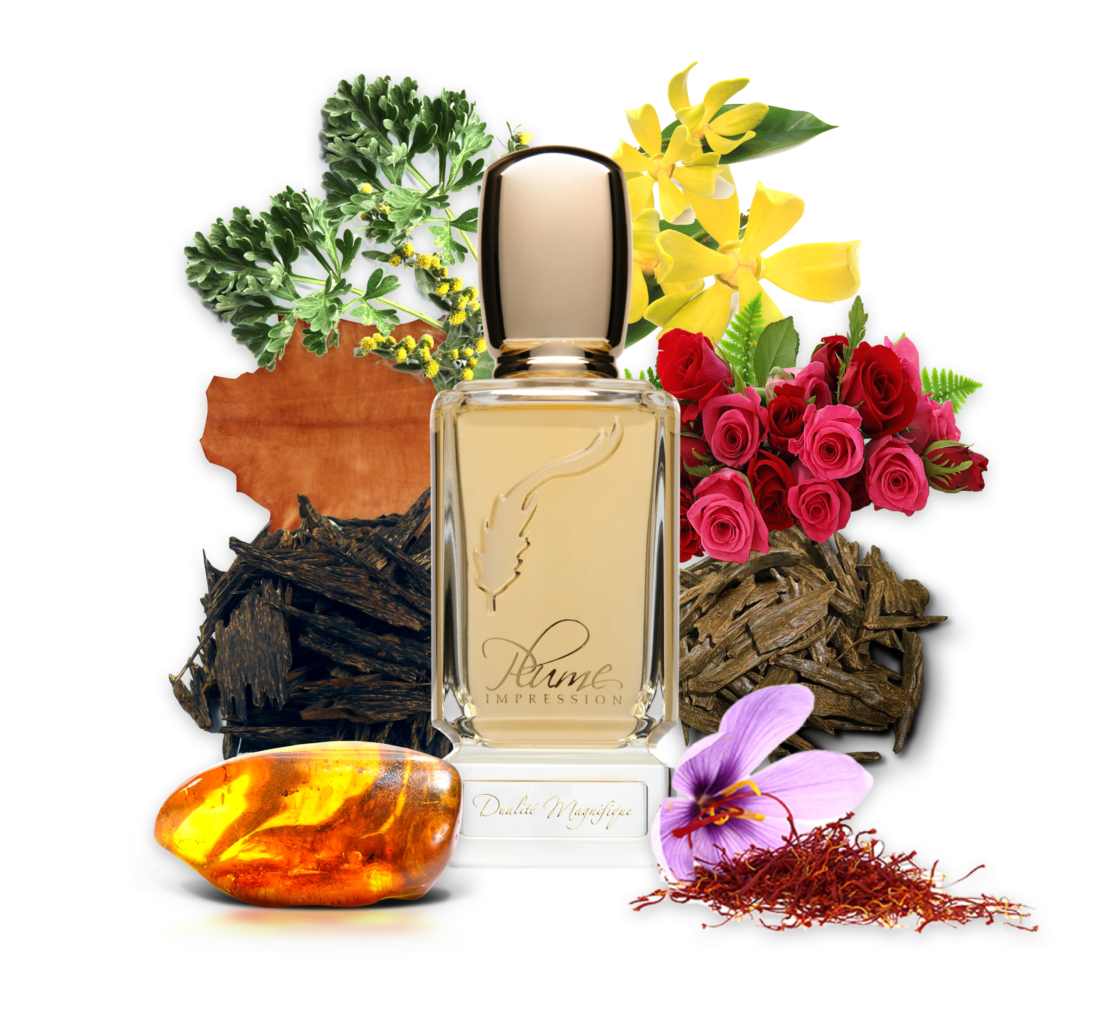 PLUME IMPRESSIONS Dualite Magnifique  2.7oz/80ml  Eau De Parfum 