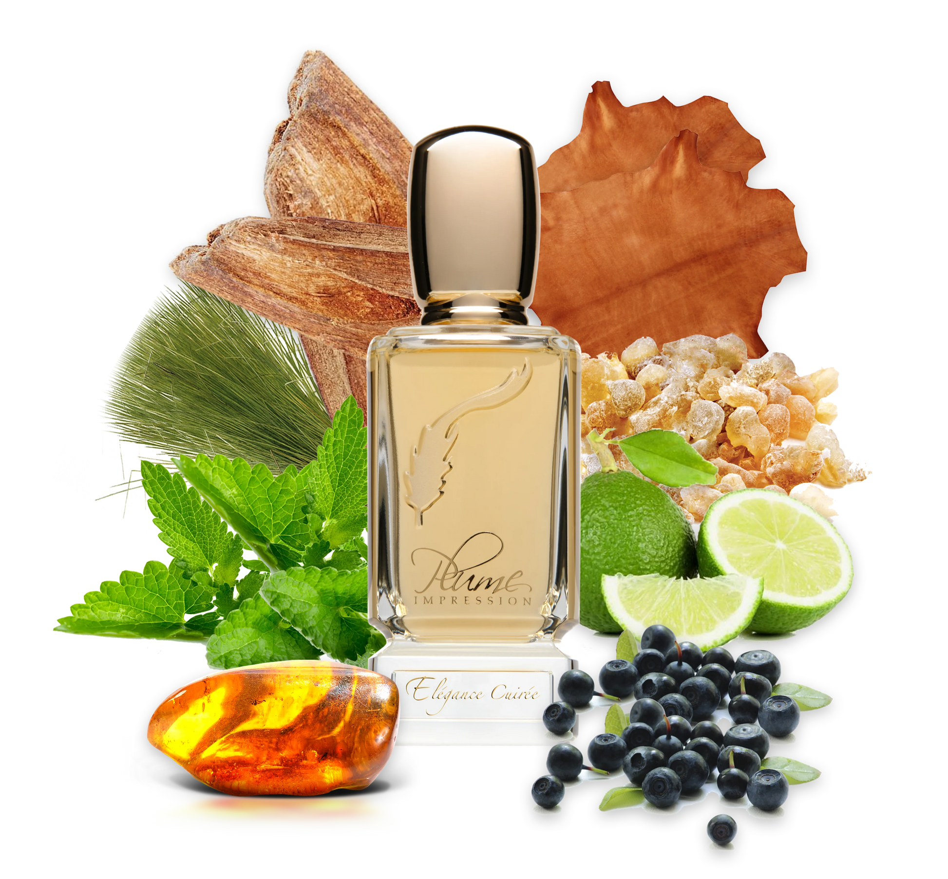 PLUME IMPRESSIONS Elegance Cuiree  2.7oz/80ml  Eau De Parfum 