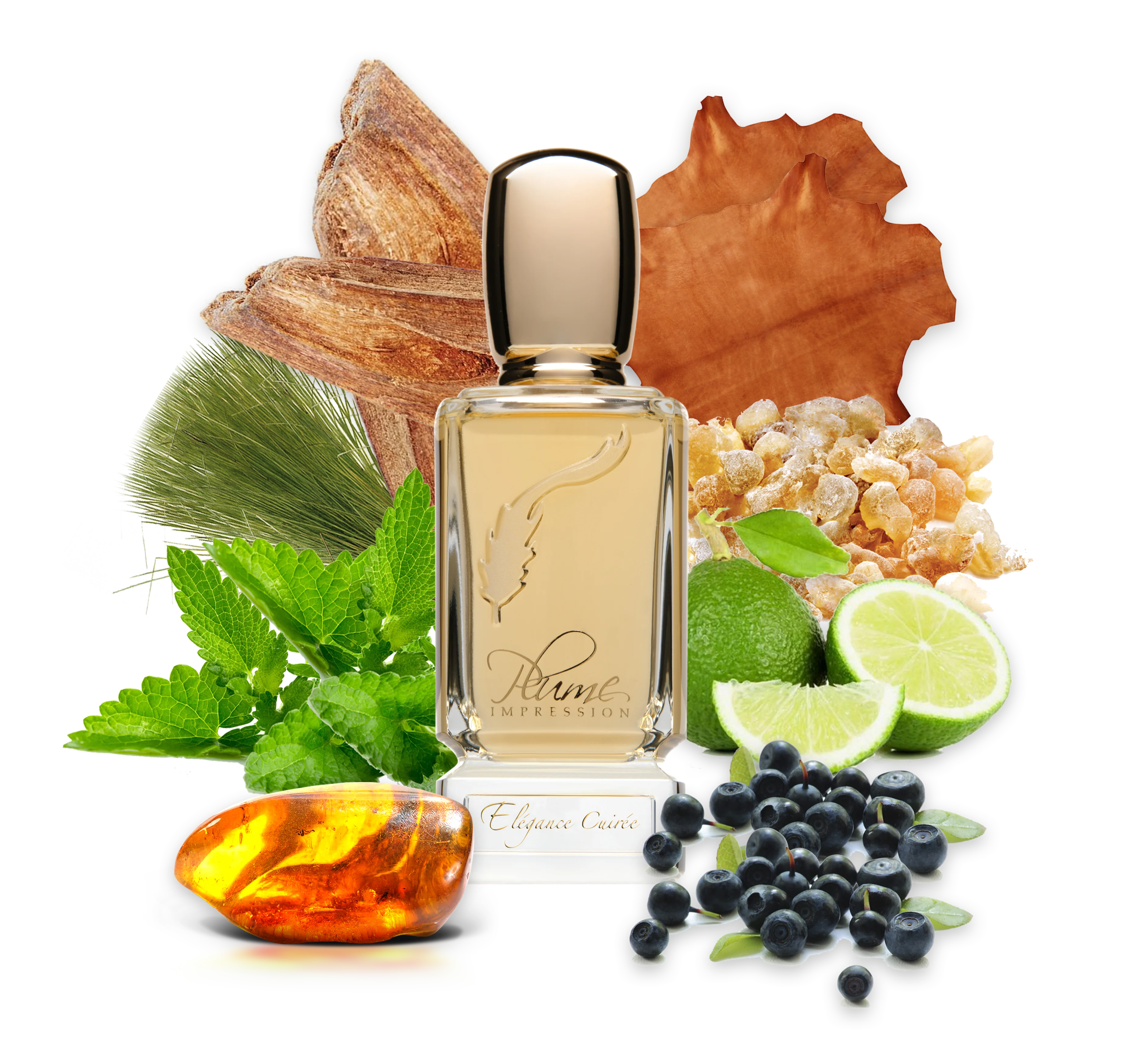 PLUME IMPRESSIONS Elegance Cuiree  2.7oz/80ml  Eau De Parfum 
