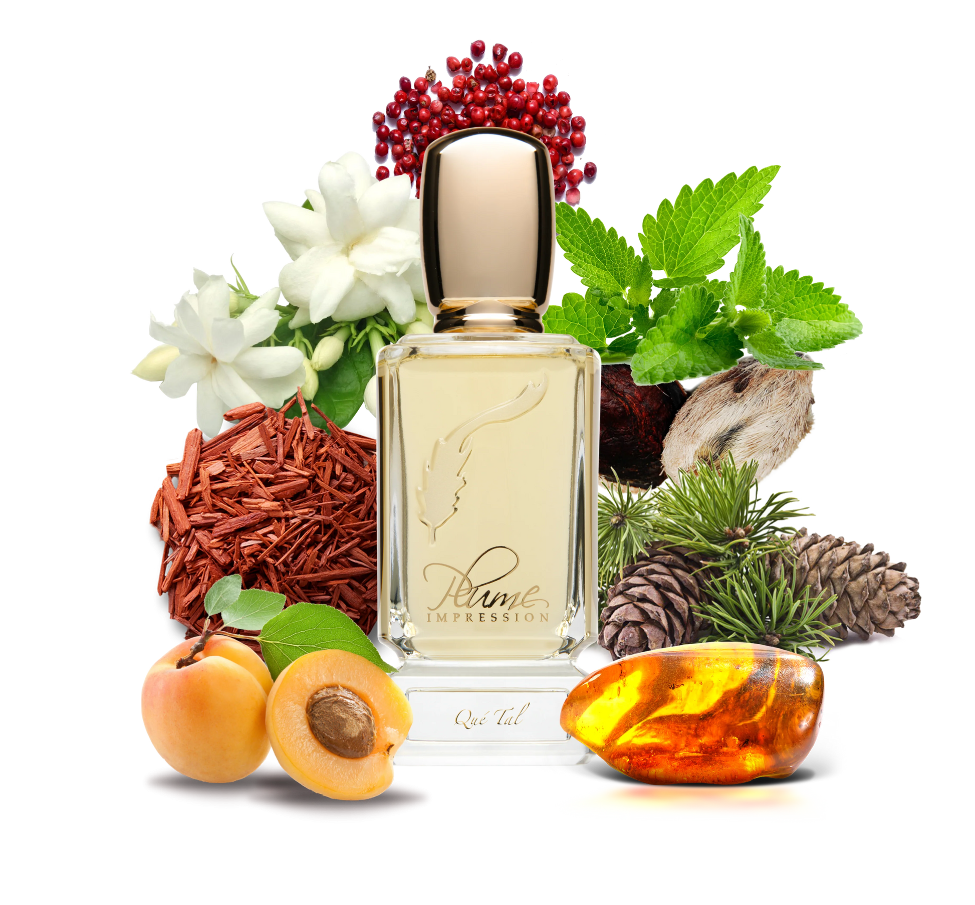 PLUME IMPRESSIONS Que Tal 2.7oz/80ml  Eau De Parfum 