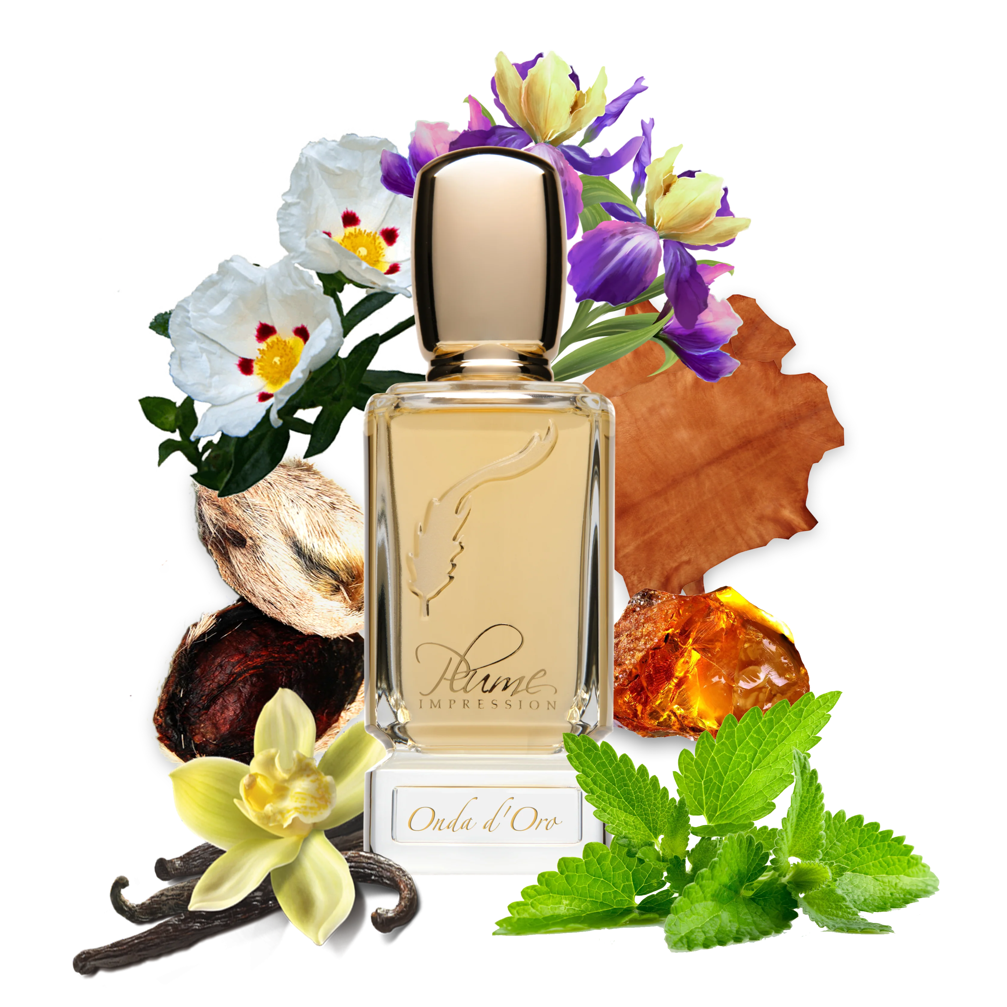 PLUME IMPRESSIONS  Onda d’Oro  2.7oz/80ml  Eau De Parfum 