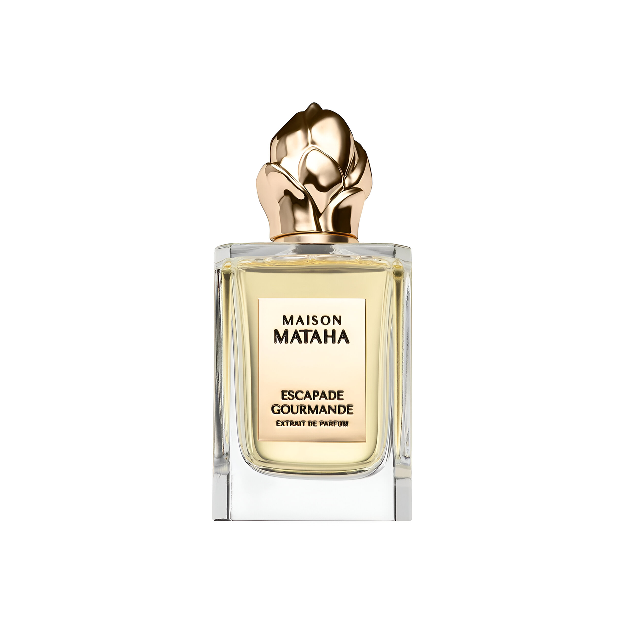 3.4 oz / 100ml Extrait De Parfum
