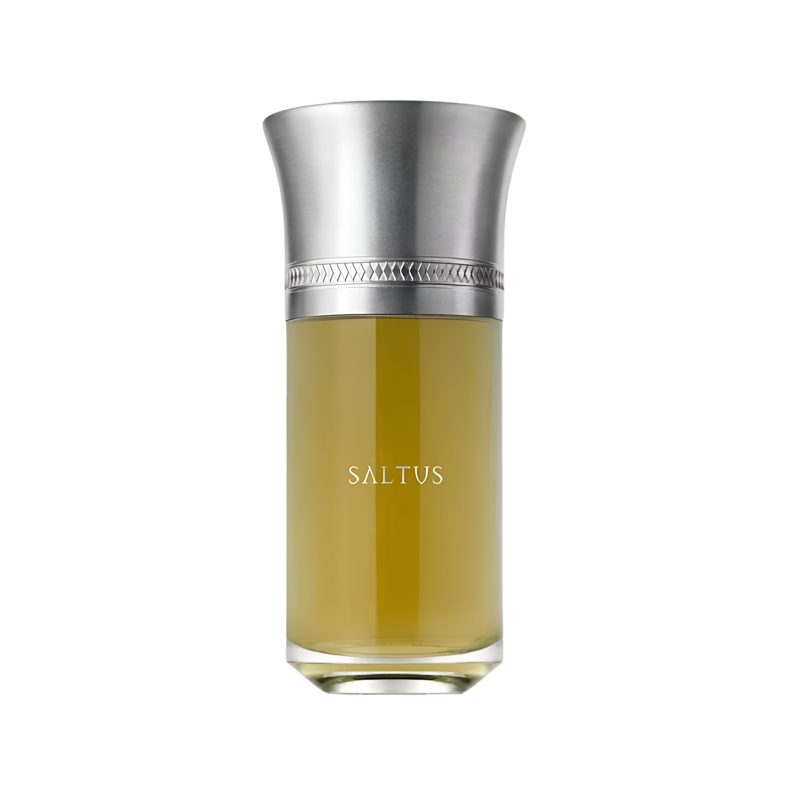 LIQUIDES IMAGINAIRES SALTUS 3.3 oz / 100 ml Eau de Parfum