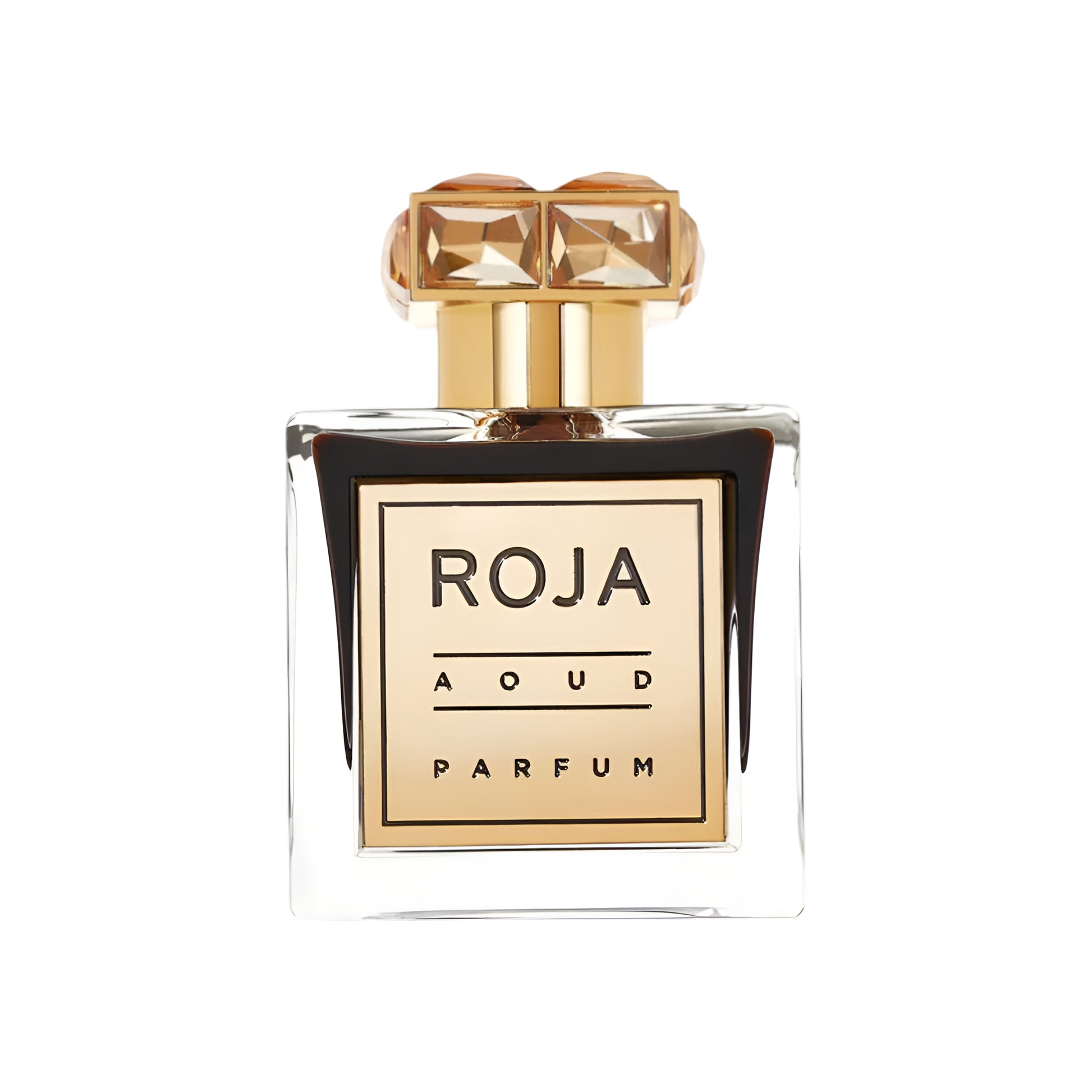 ROJA PARFUMS AOUD 3.4 oz / 100 ml Extrait de Parfum