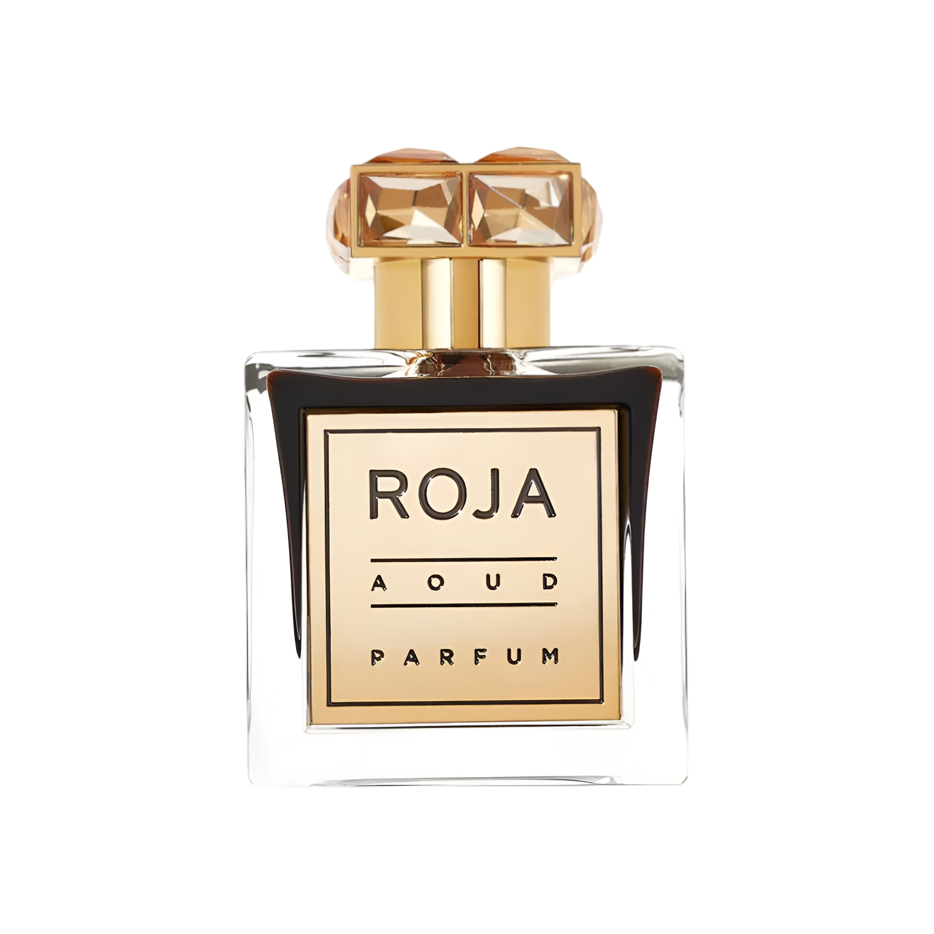 ROJA PARFUMS AOUD 3.4 oz / 100 ml Extrait de Parfum