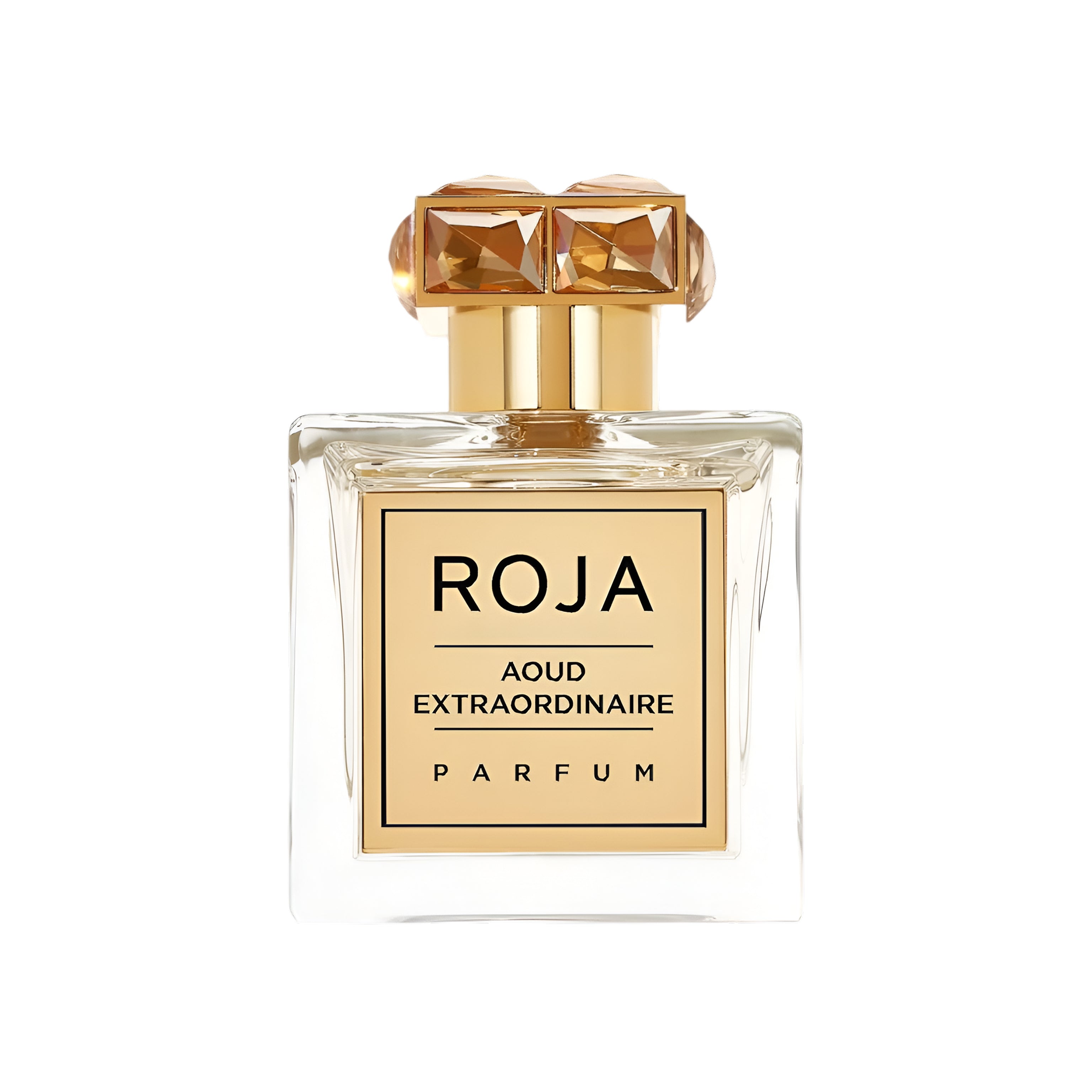 ROJA PARFUMS AOUD EXTRAORDINAIRE 3.4 oz / 100 ml Extrait de Parfum