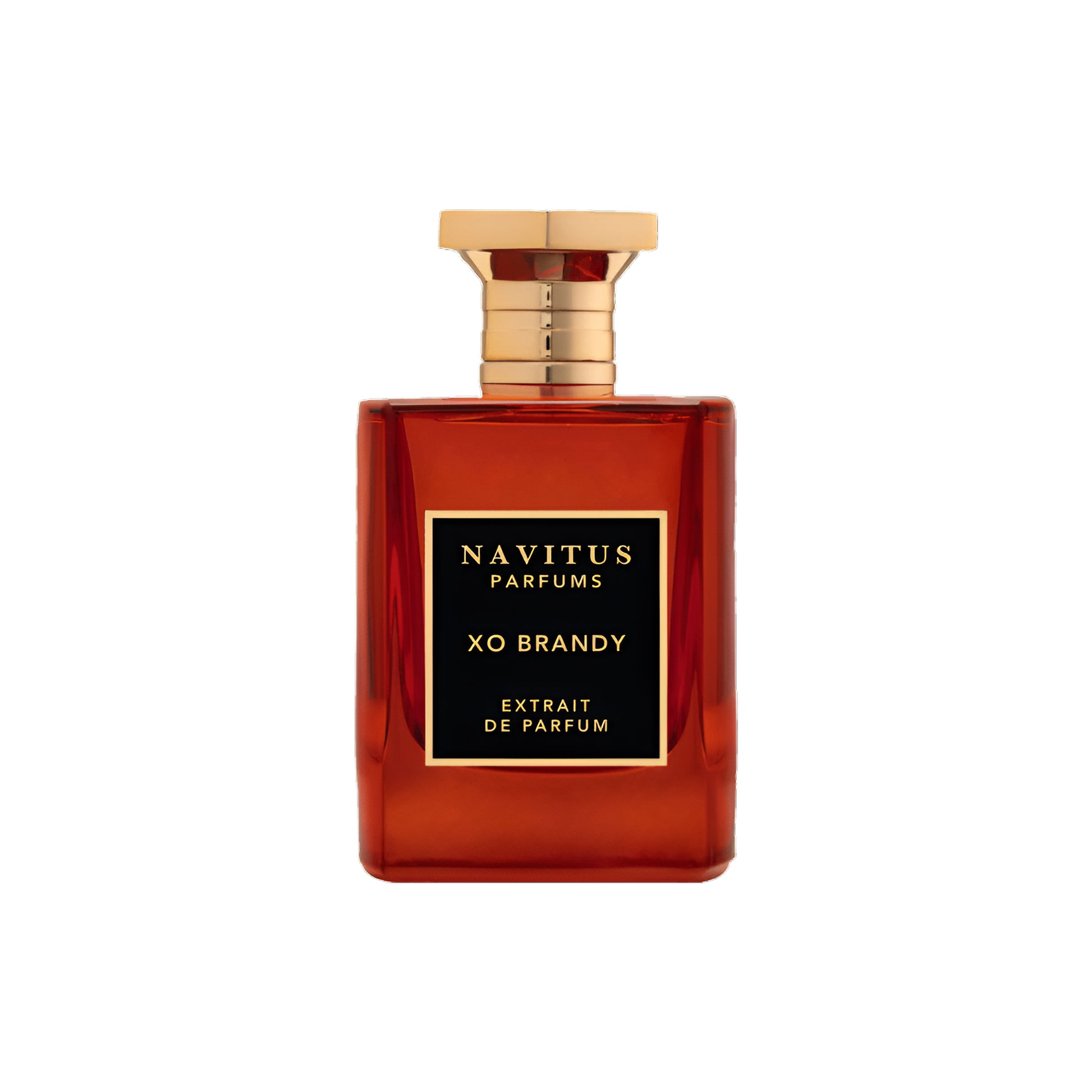 NAVITUS PARFUMS XO BRANDY 3.4 oz / 100 ml Extrait de Parfum