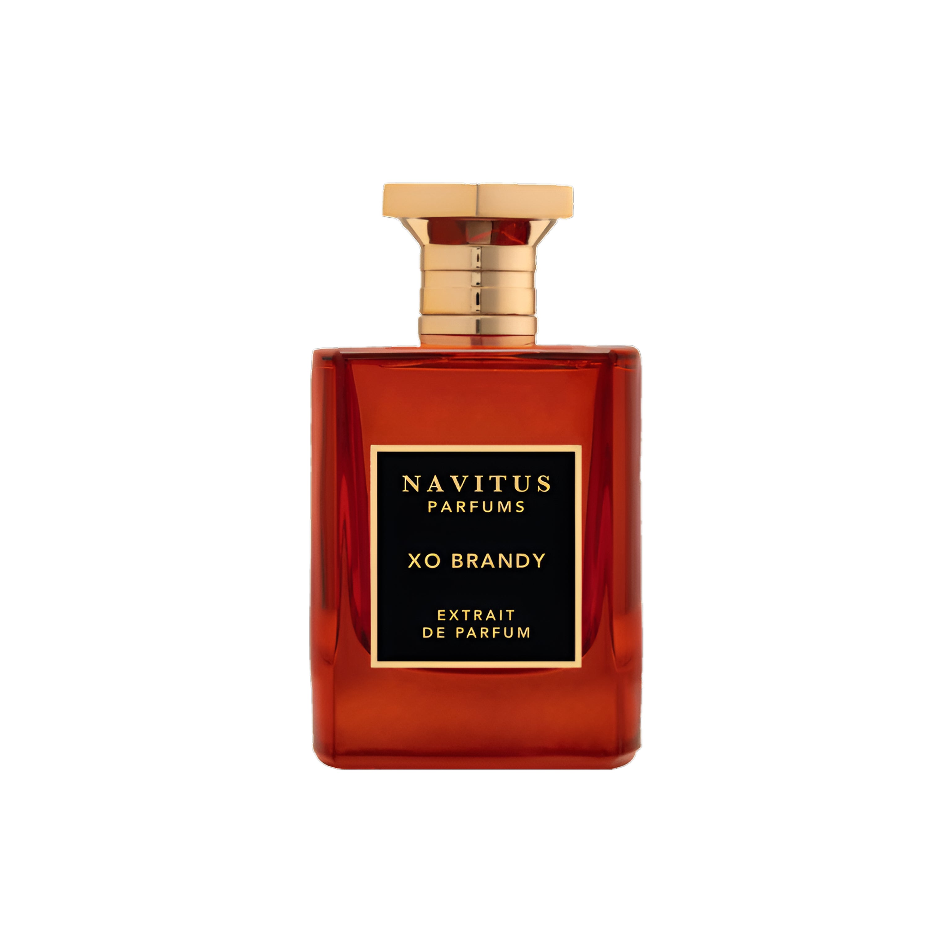 NAVITUS PARFUMS XO BRANDY 3.4 oz / 100 ml Extrait de Parfum