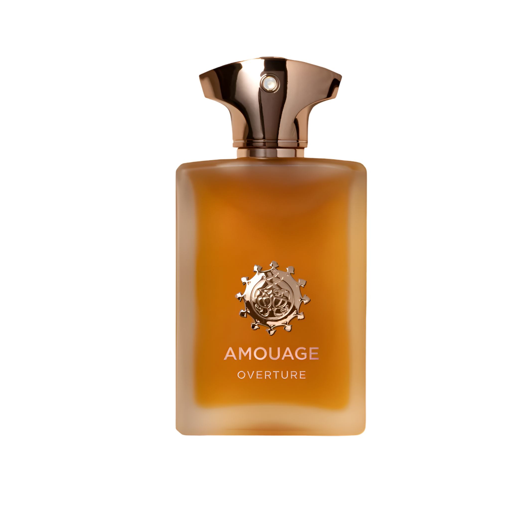 AMOUAGE OVERTURE 3.4 oz / 100ml Eau de Parfum