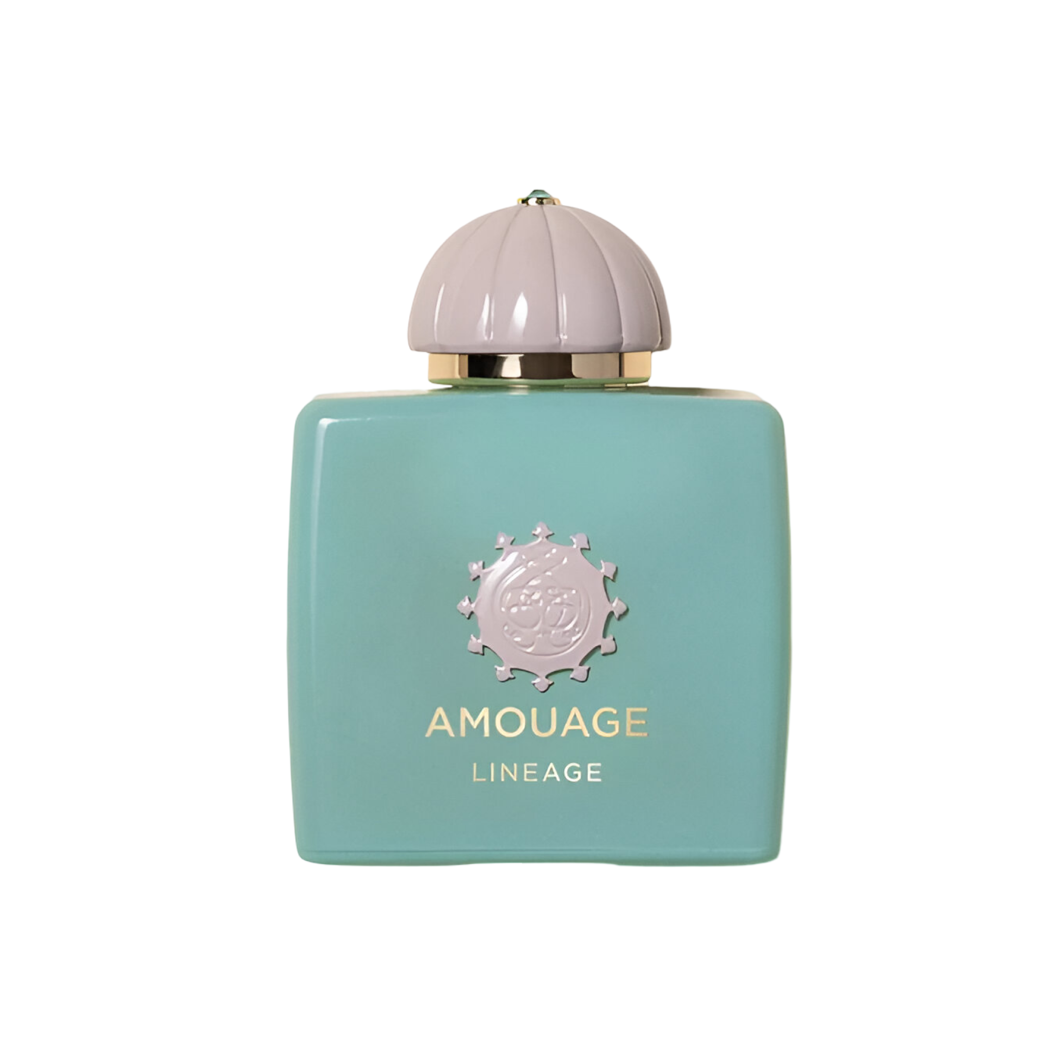 AMOUAGE LINEAGE 3.4 oz / 100ml Eau de Parfum