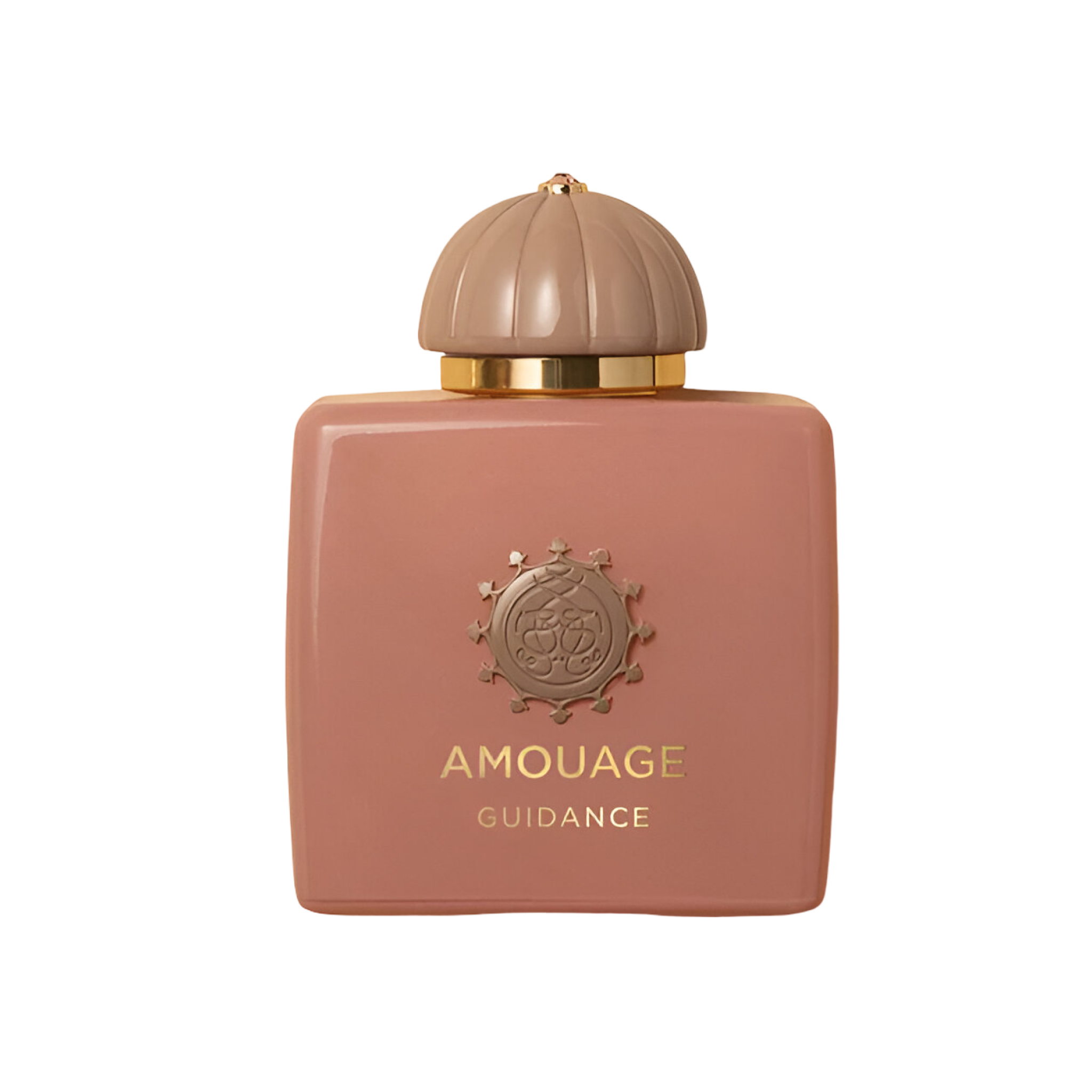 AMOUAGE GUIDANCE 3.4 oz / 100ml Extrait De Parfum