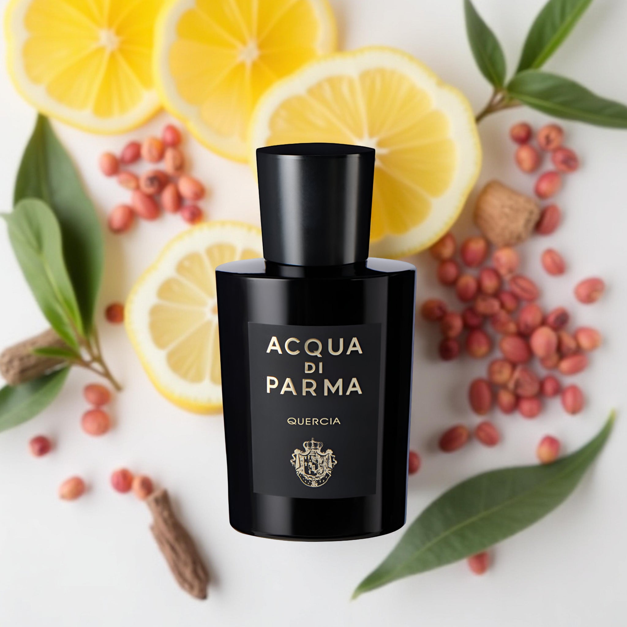 ACQUA DI PARMA SIGNATURES OF THE SUN QUERCIA 3.4 oz / 100 ml Eau de Parfum
