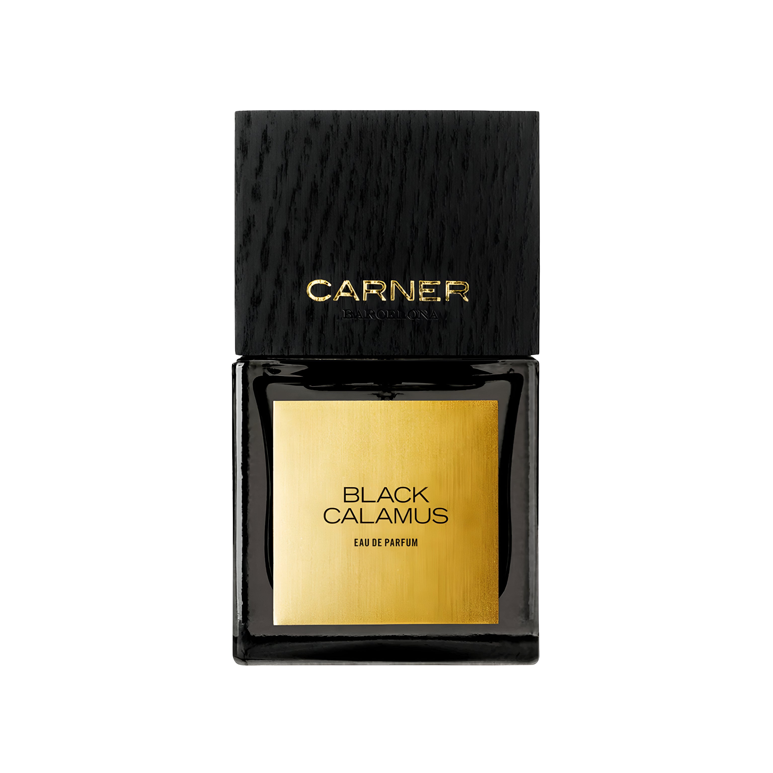 CARNER BARCELONA BLACK CALAMUS 1.7 oz / 50 ml Eau de Parfum