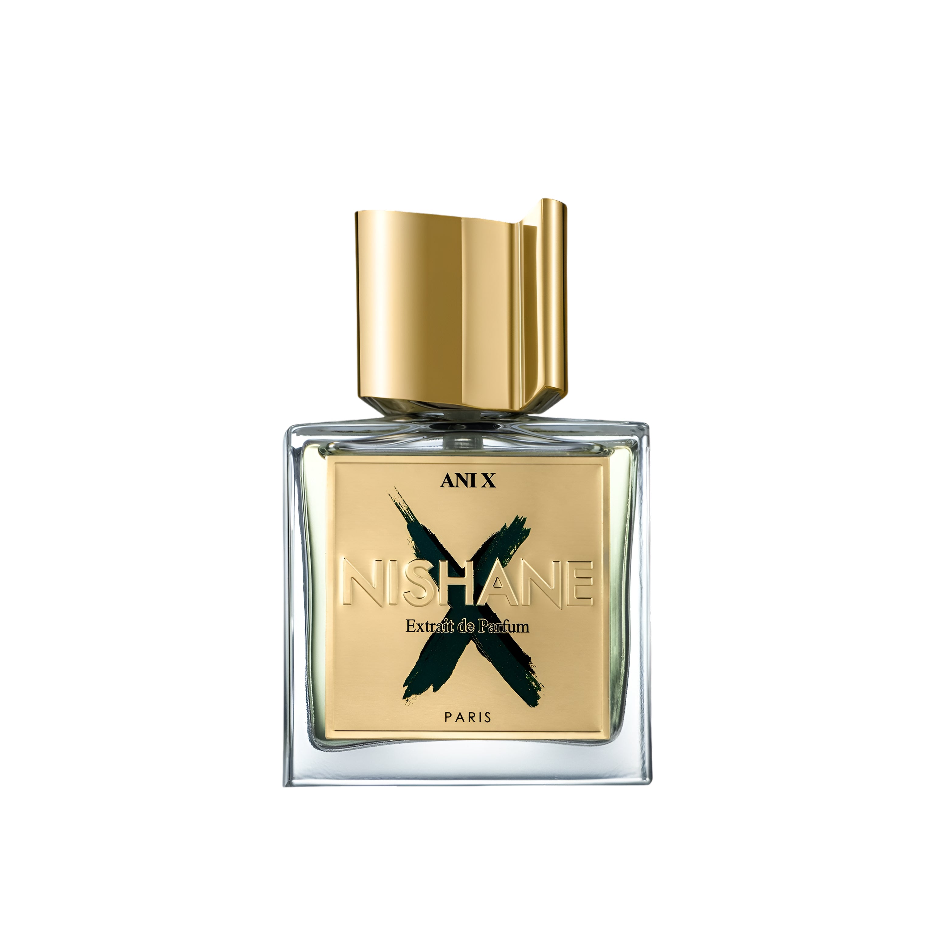 NISHANE ANI X EXTRAIT DE PARFUM 3.4 oz / 100 ml Extrait de Parfum