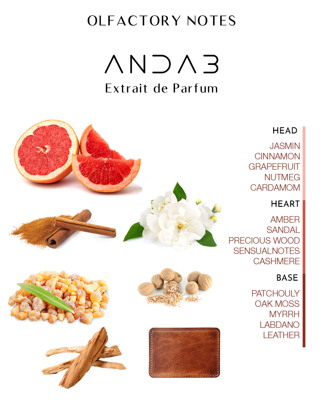 Andab