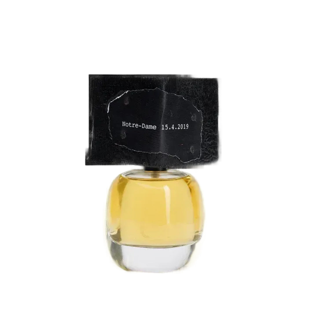 DELIRE DE VOYAGE NOTRE-DAME 15.4.2019 "Notre Dame 15.4.2019 travel delirium" Filippo Sorcinelli