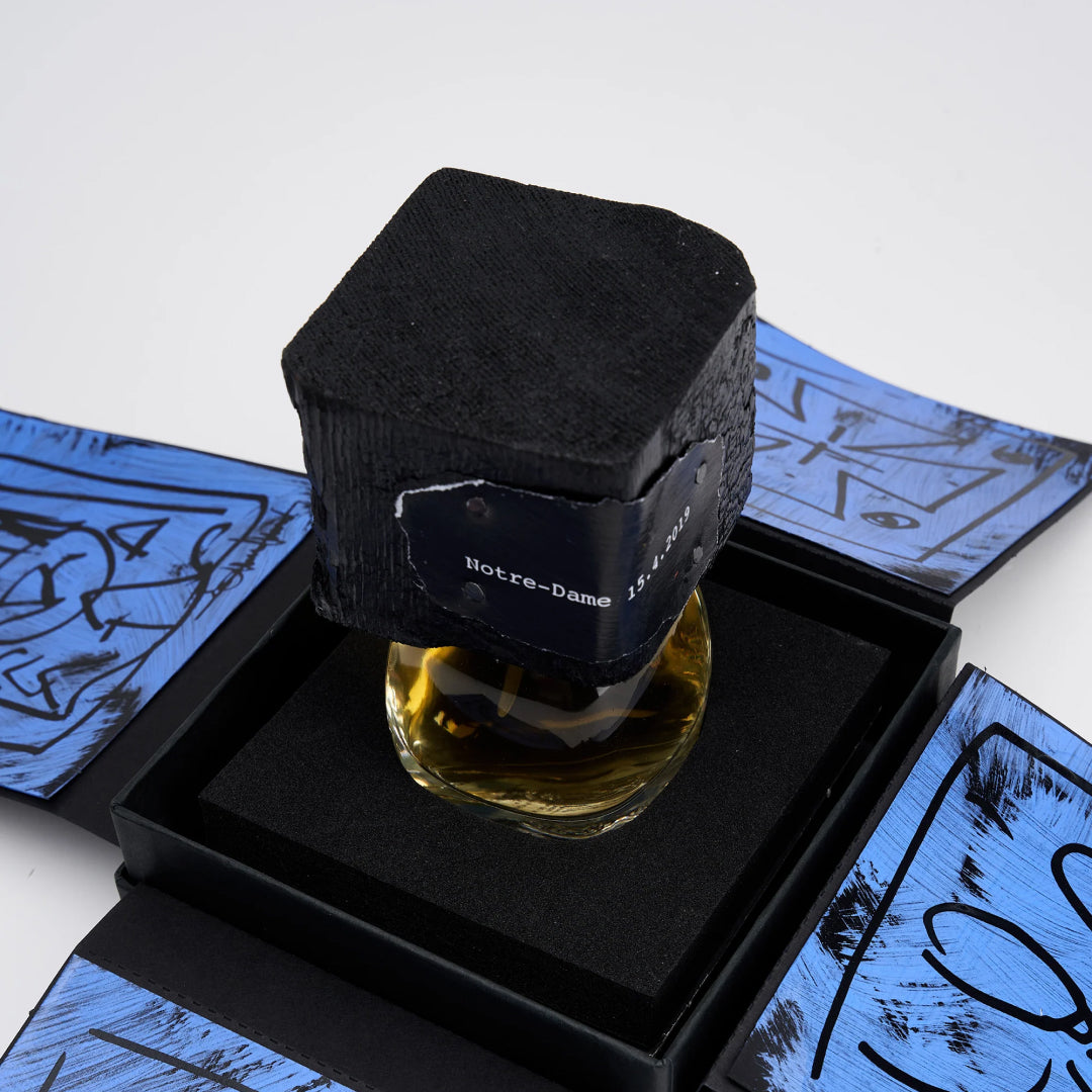 DELIRE DE VOYAGE NOTRE-DAME 15.4.2019 "Notre Dame 15.4.2019 travel delirium" Filippo Sorcinelli