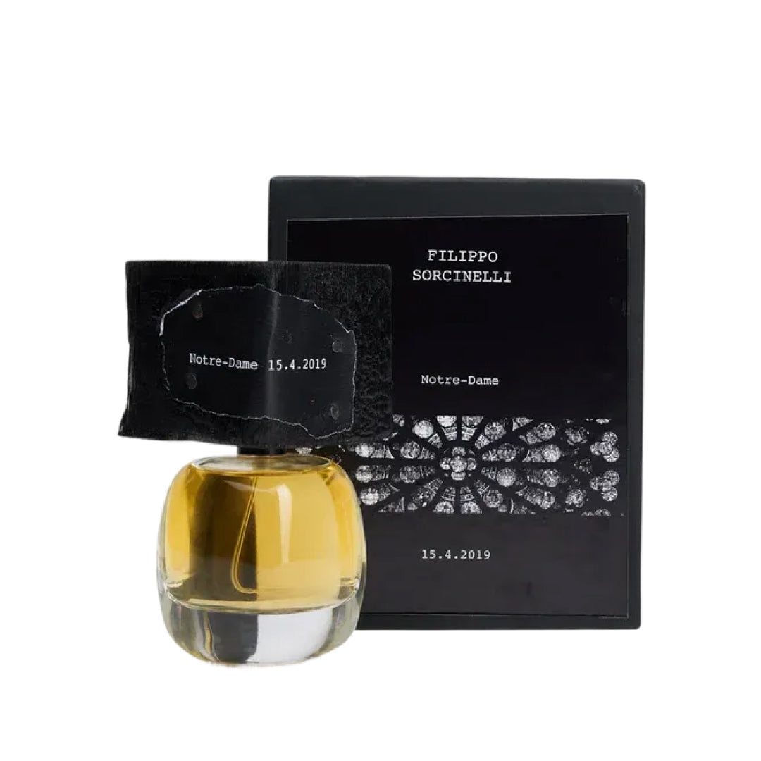 DELIRE DE VOYAGE NOTRE-DAME 15.4.2019 "Notre Dame 15.4.2019 travel delirium" Filippo Sorcinelli