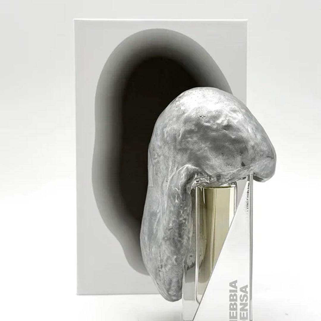 NEBBIA DENSA "dense fog" Filippo Sorcinelli