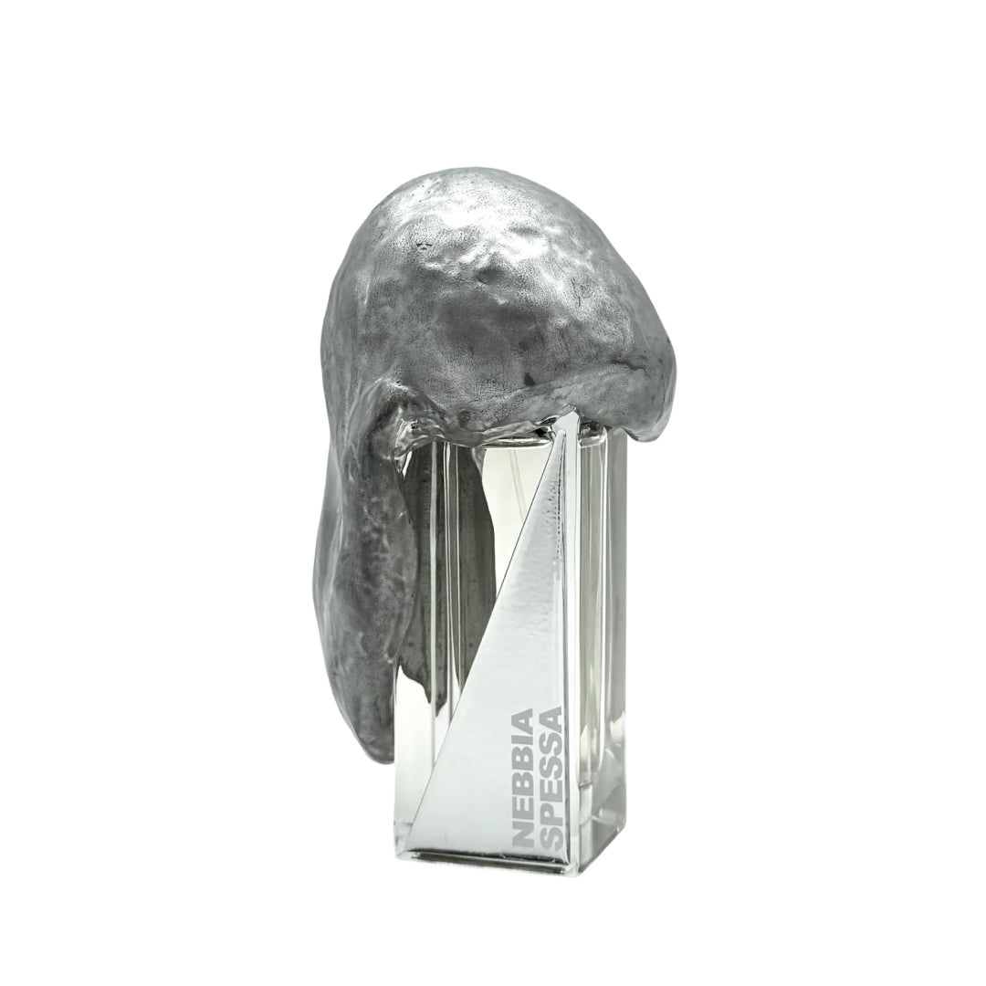 NEBBIA SPESSA "thick fog" Filippo Sorcinelli