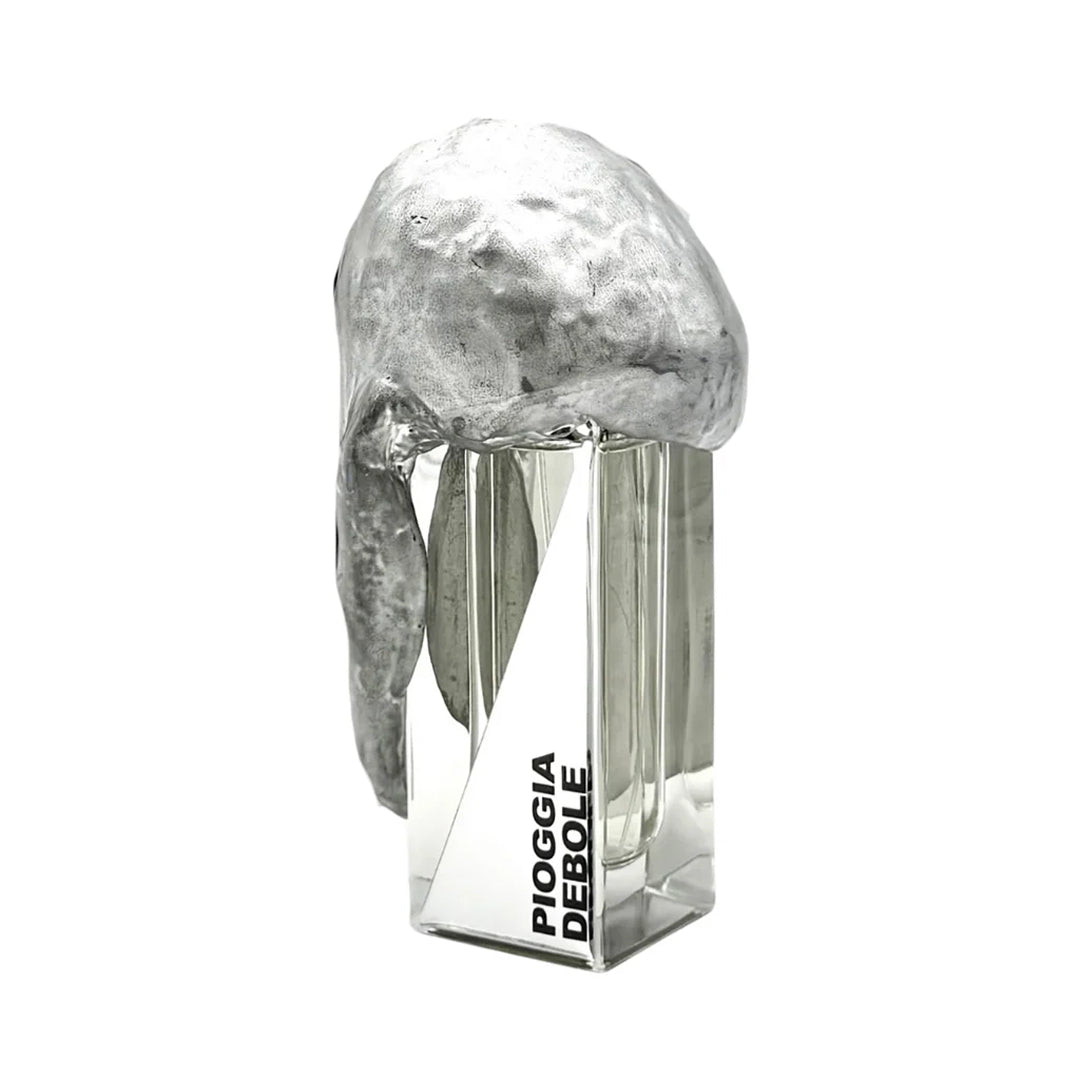 PIOGGIA DEBOLE "light rain" Filippo Sorcinelli