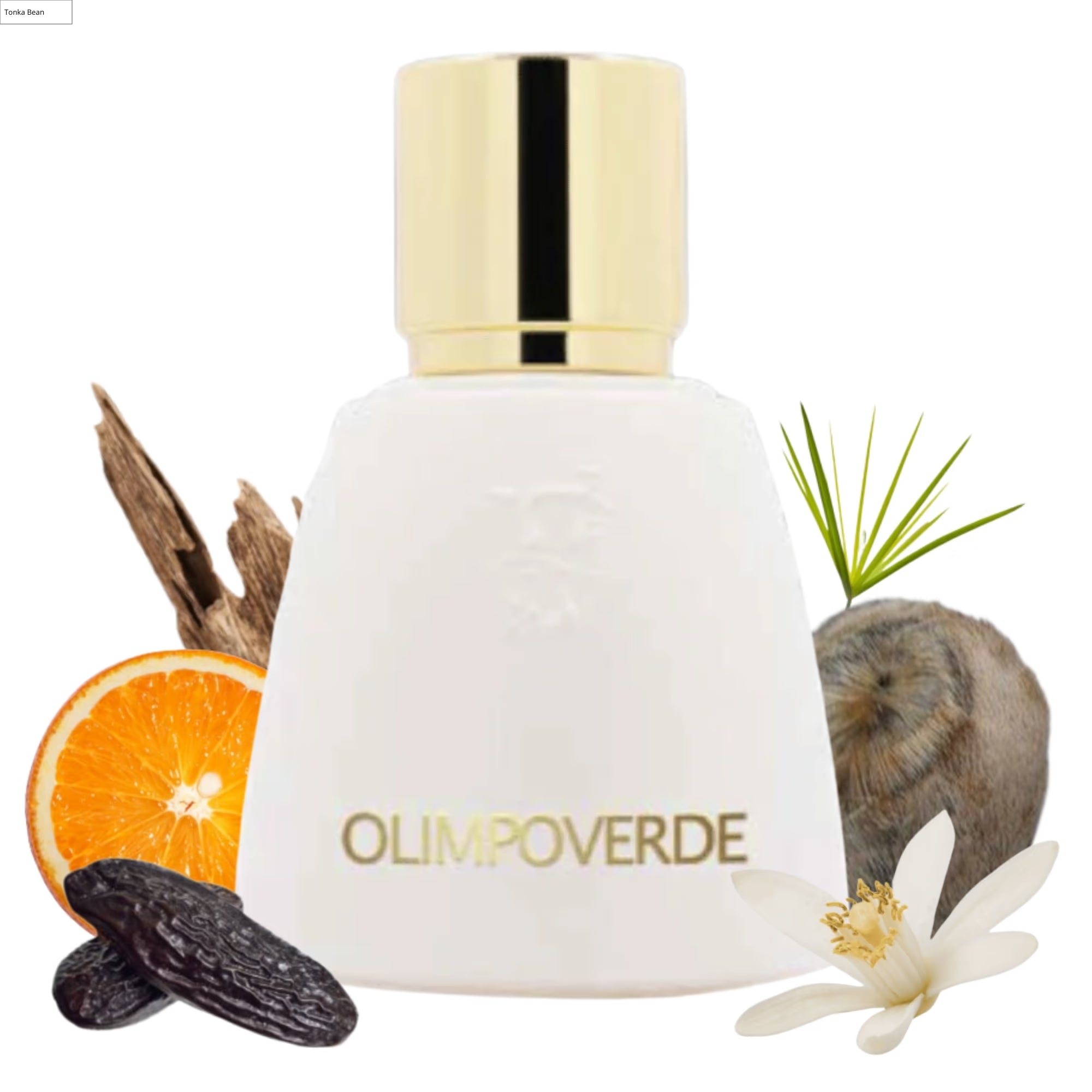 Agatho Parfum Olimpoverde AGATHO PARFUM