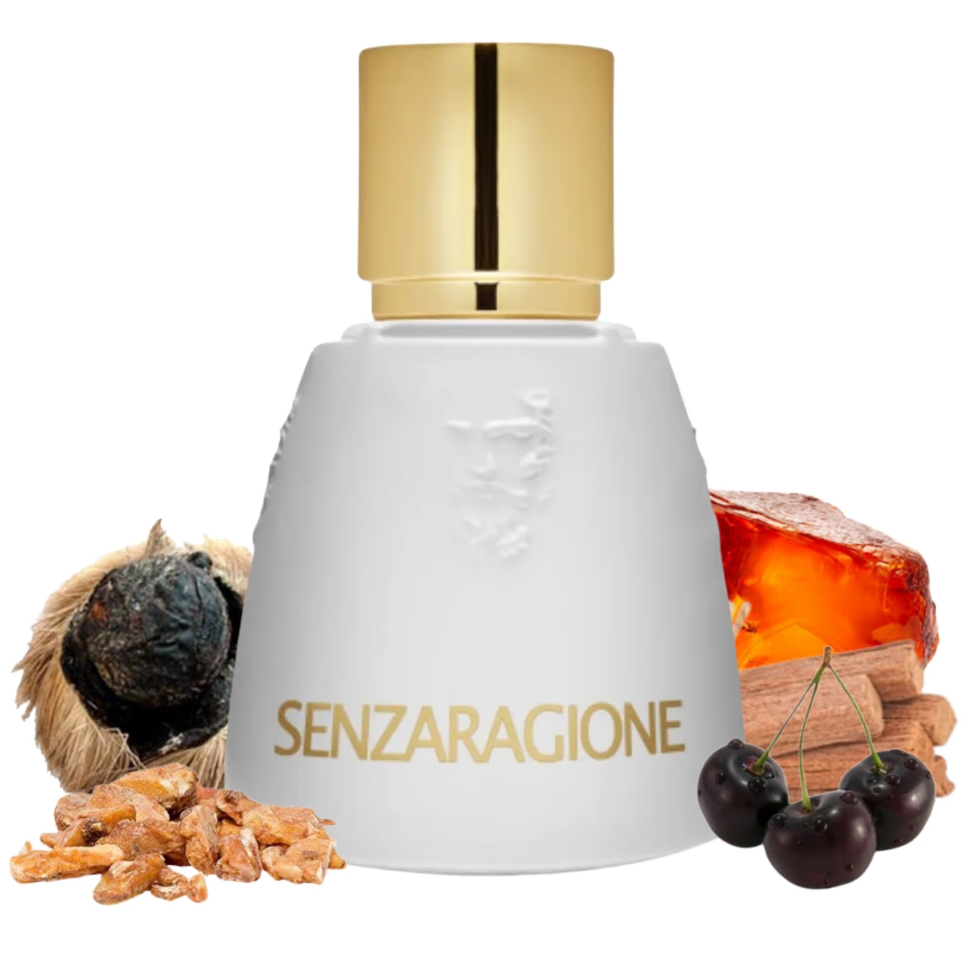 Agatho Parfum Senzaragione AGATHO PARFUM