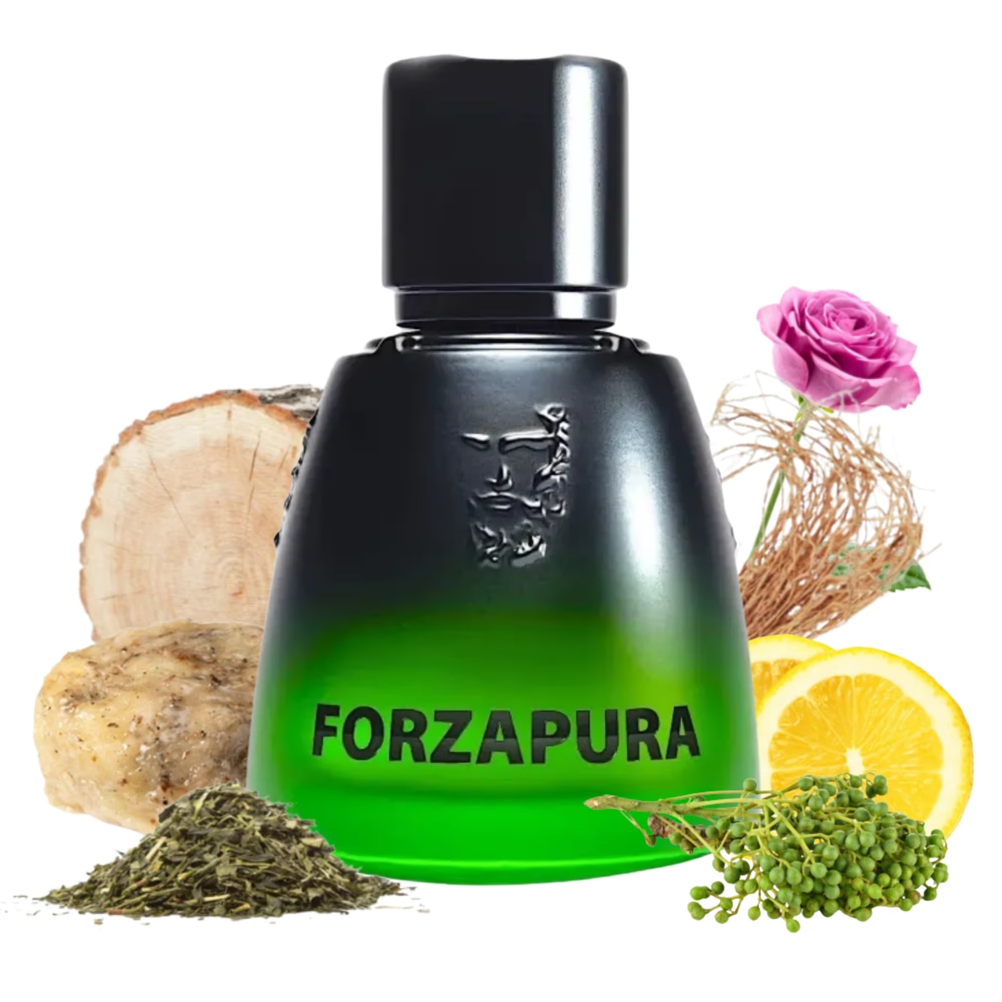 Agatho Parfum Forzapura AGATHO PARFUM