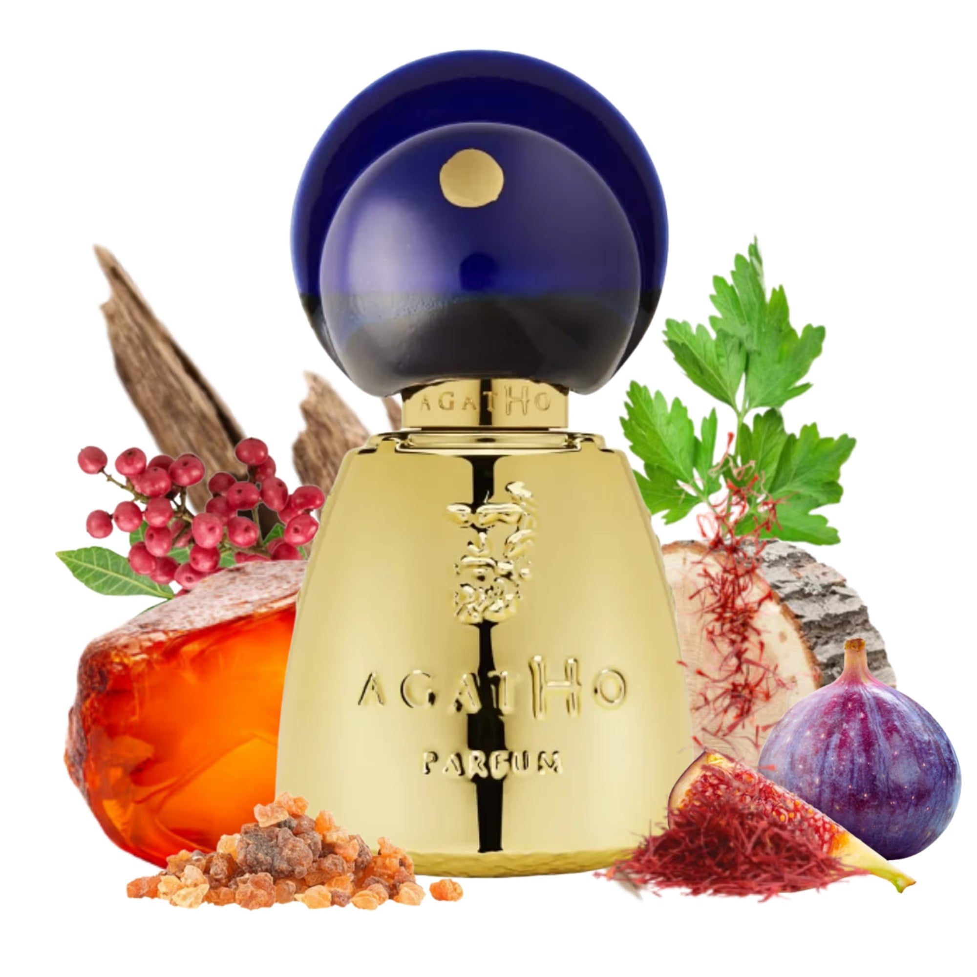 Agatho Parfum Vettii AGATHO PARFUM