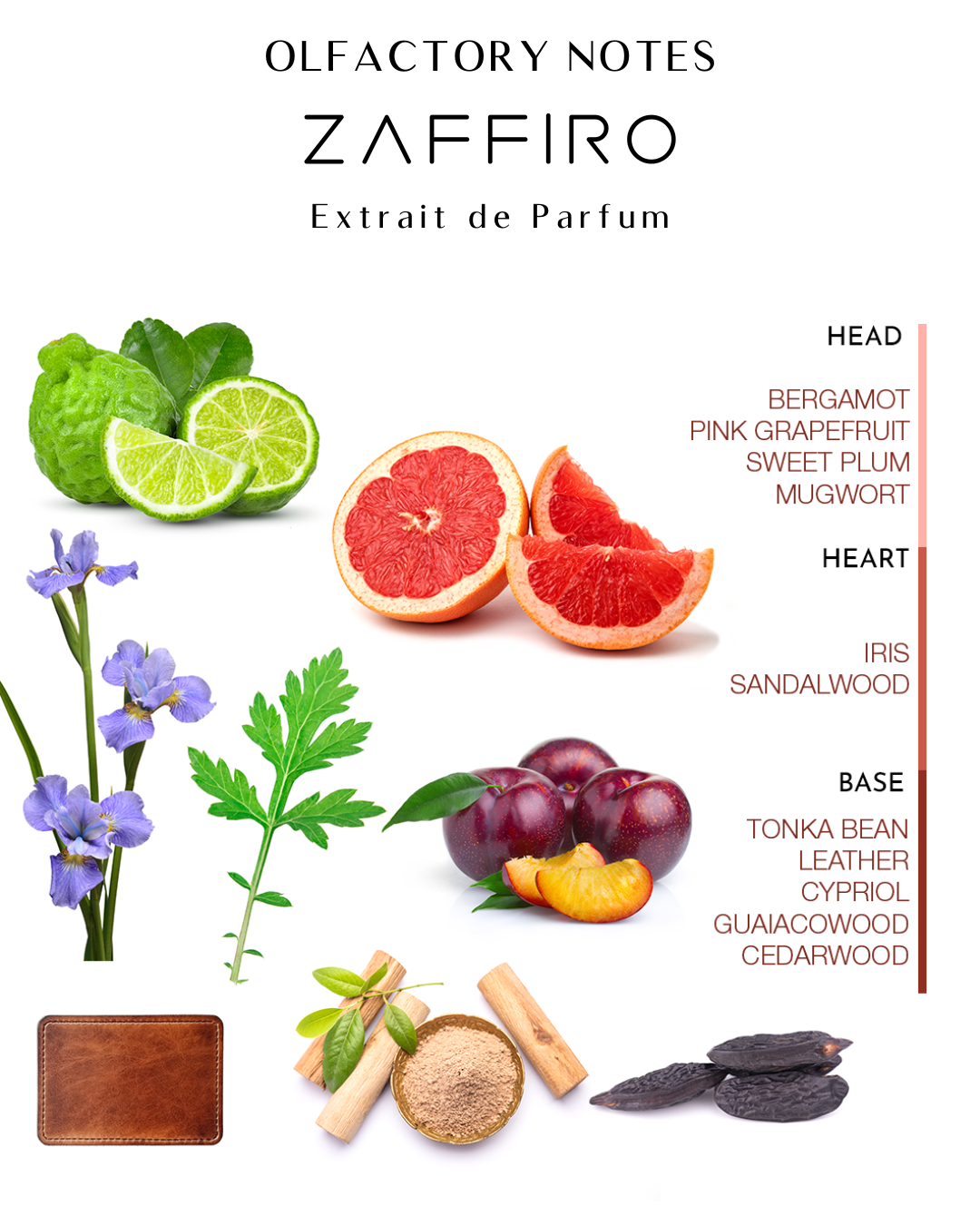 Zaffiro