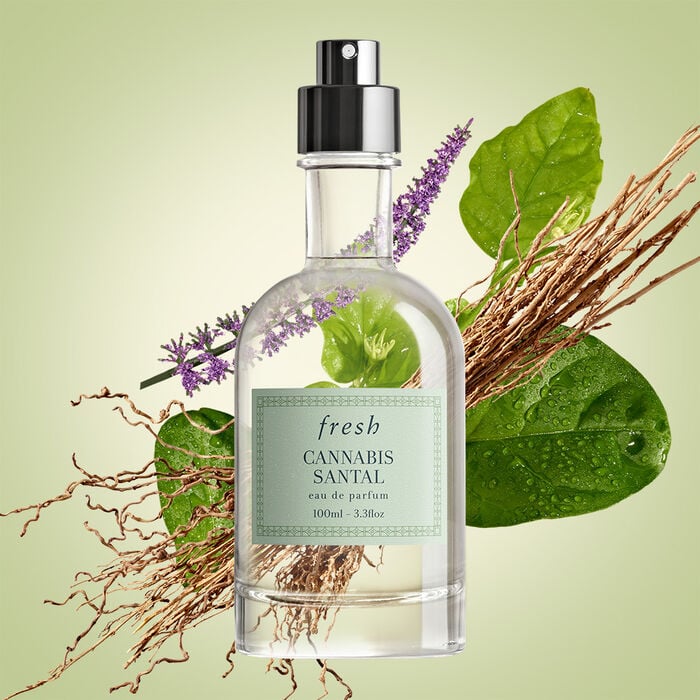 Cannabis Santal
